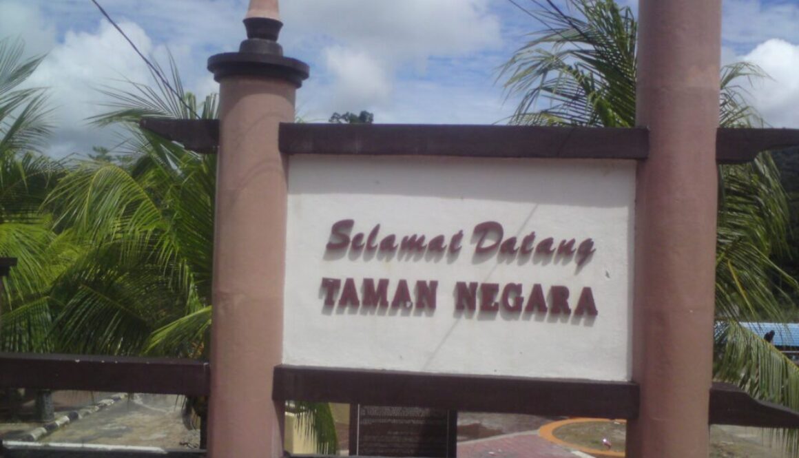 53236_167688693251353_1286818_o