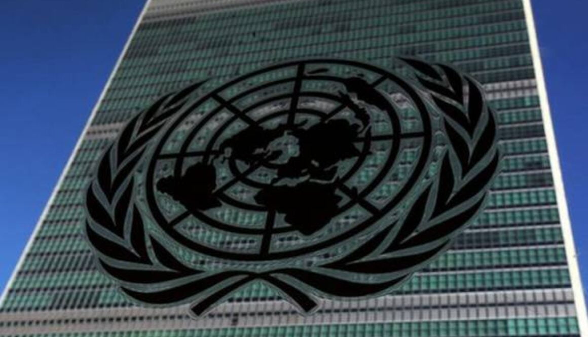 81515146816_unitednations