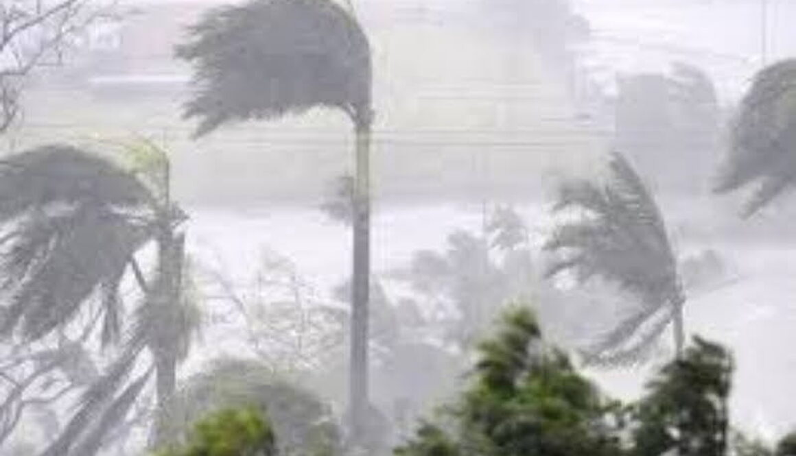 IMG_01012021_161456_(800_x_500_pixel)