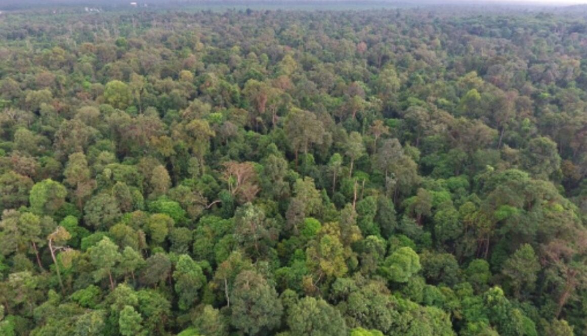 IMG_01102020_152257_(800_x_500_pixel)