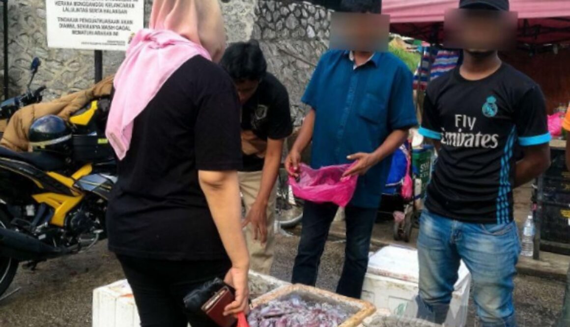 IMG_02112020_124132_(800_x_500_pixel)