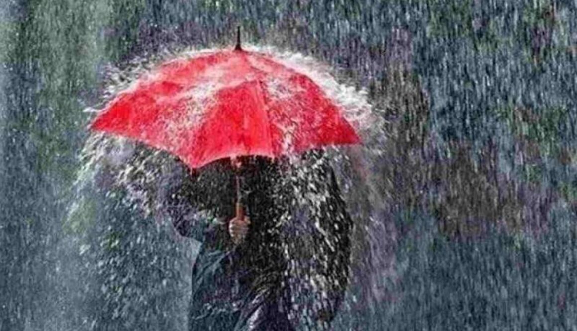 IMG_02122020_154250_(800_x_500_pixel)