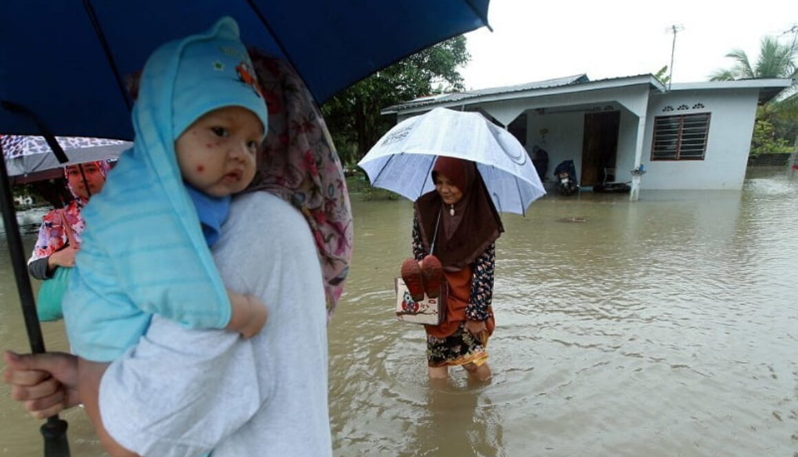 IMG_03012021_011925_(800_x_500_pixel)