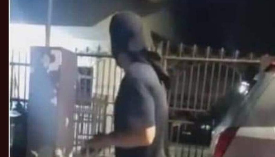 IMG_04082021_024702_(800_x_500_pixel)