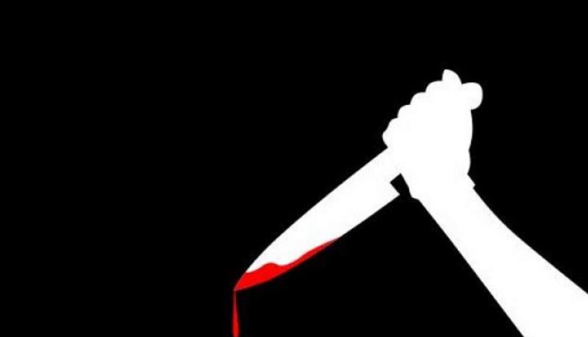 IMG_04082021_025747_(800_x_500_pixel)