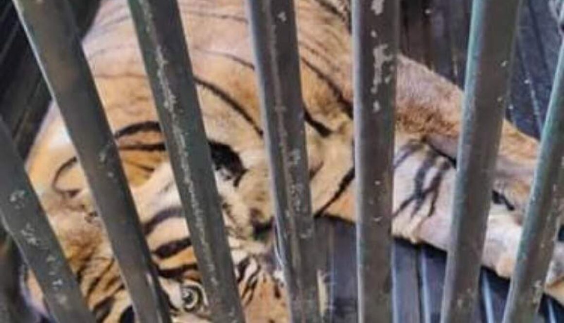 IMG_06032021_012042_(800_x_500_pixel) IMG_06032021_012042_(800_x_500_pixel)