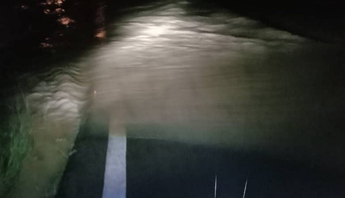 IMG_06112020_224020_(800_x_500_pixel)