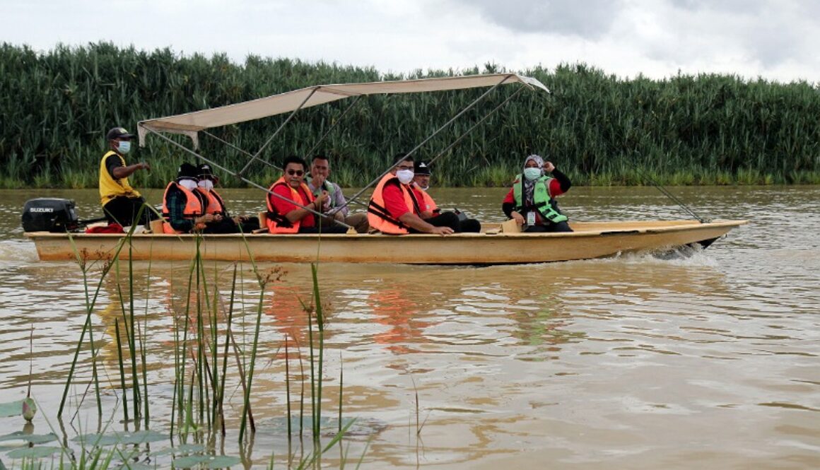 IMG_07112020_154515_(800_x_500_pixel)