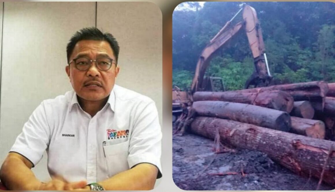 IMG_07112020_172340_(800_x_500_pixel)