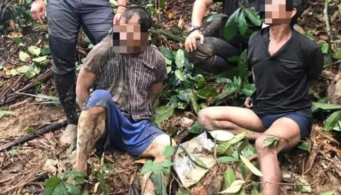 IMG_11012021_200531_(800_x_500_pixel)