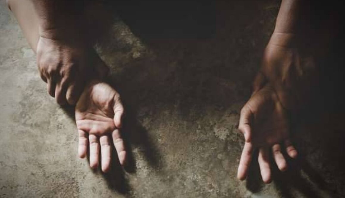 IMG_11112020_135023_(800_x_500_pixel)