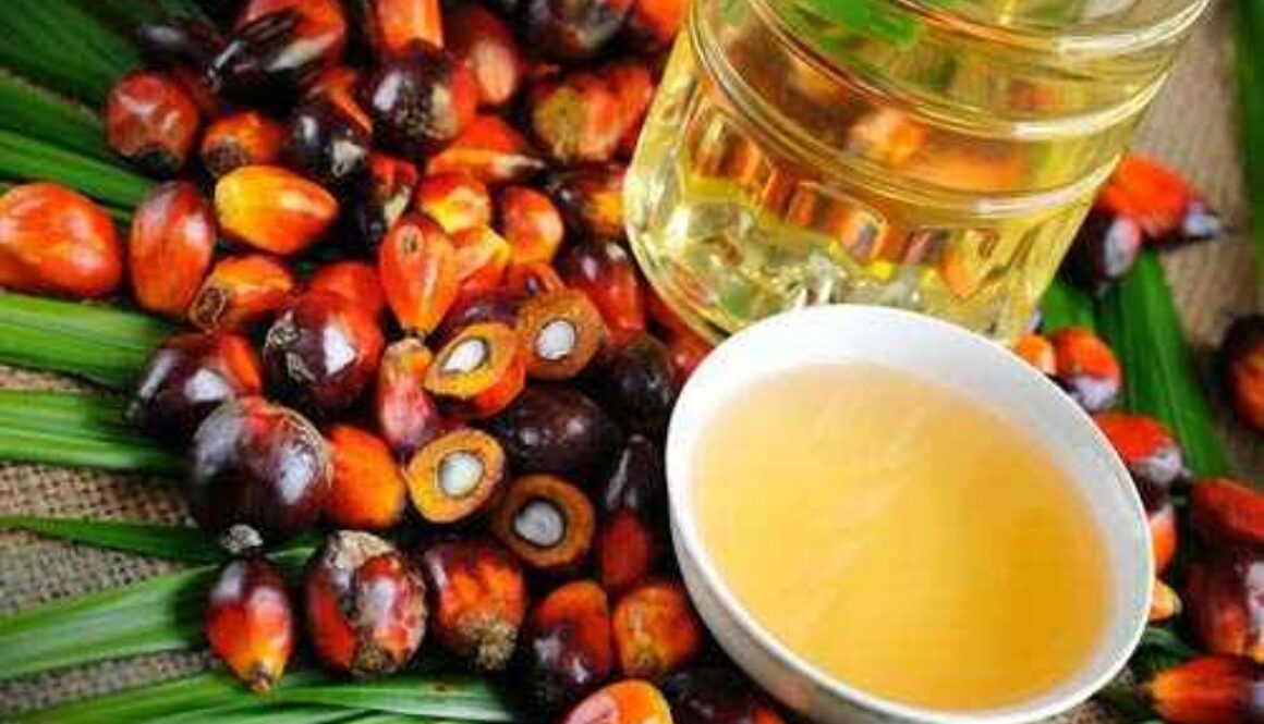 IMG_11112020_142026_(800_x_500_pixel)