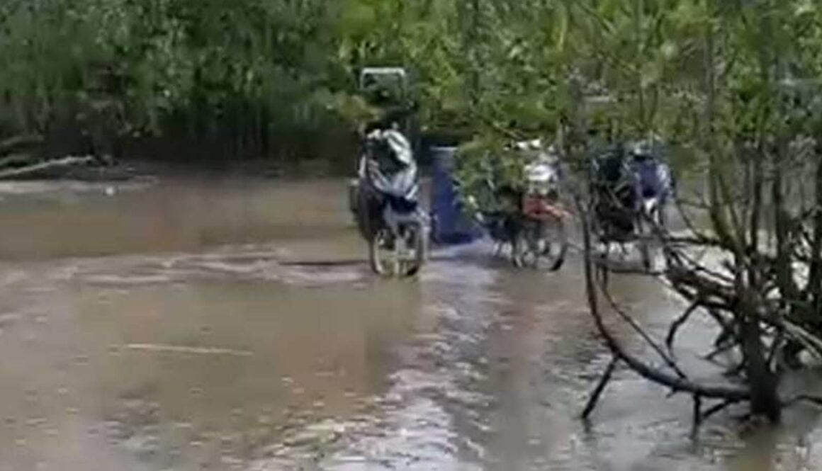 IMG_13022021_021340_(800_x_500_pixel)