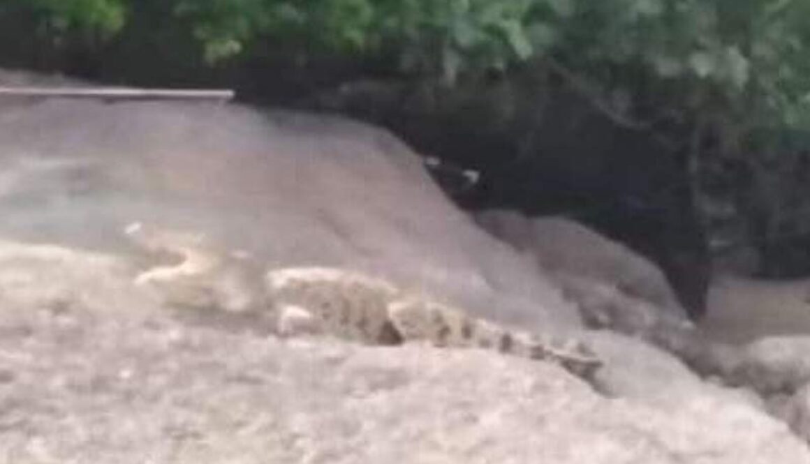 IMG_13092021_011347_(800_x_500_pixel)