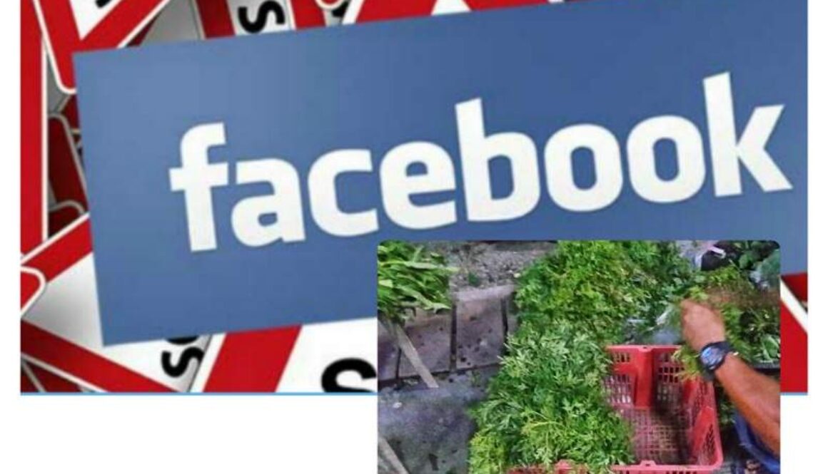 IMG_13092021_111928_(800_x_500_pixel)