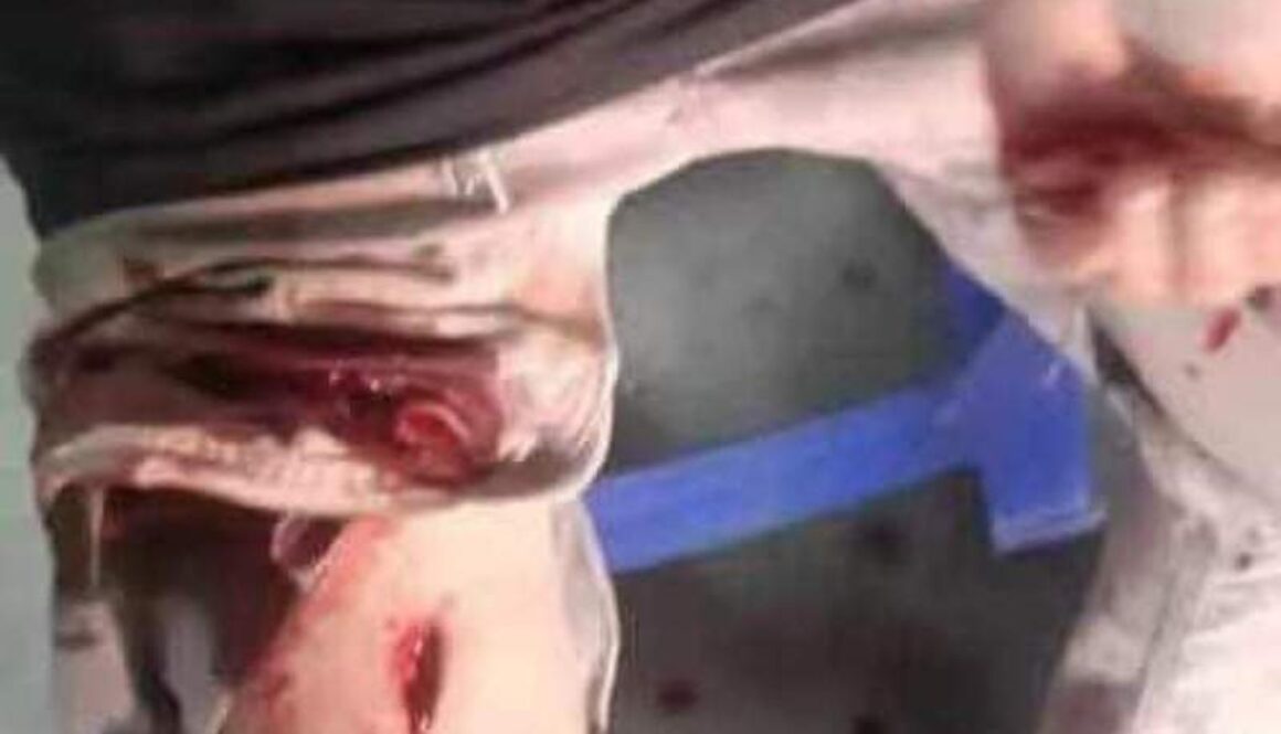 IMG_15092021_013426_(800_x_500_pixel)