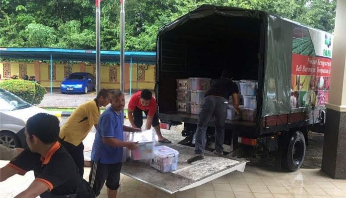 IMG_16112020_154254_(800_x_500_pixel)