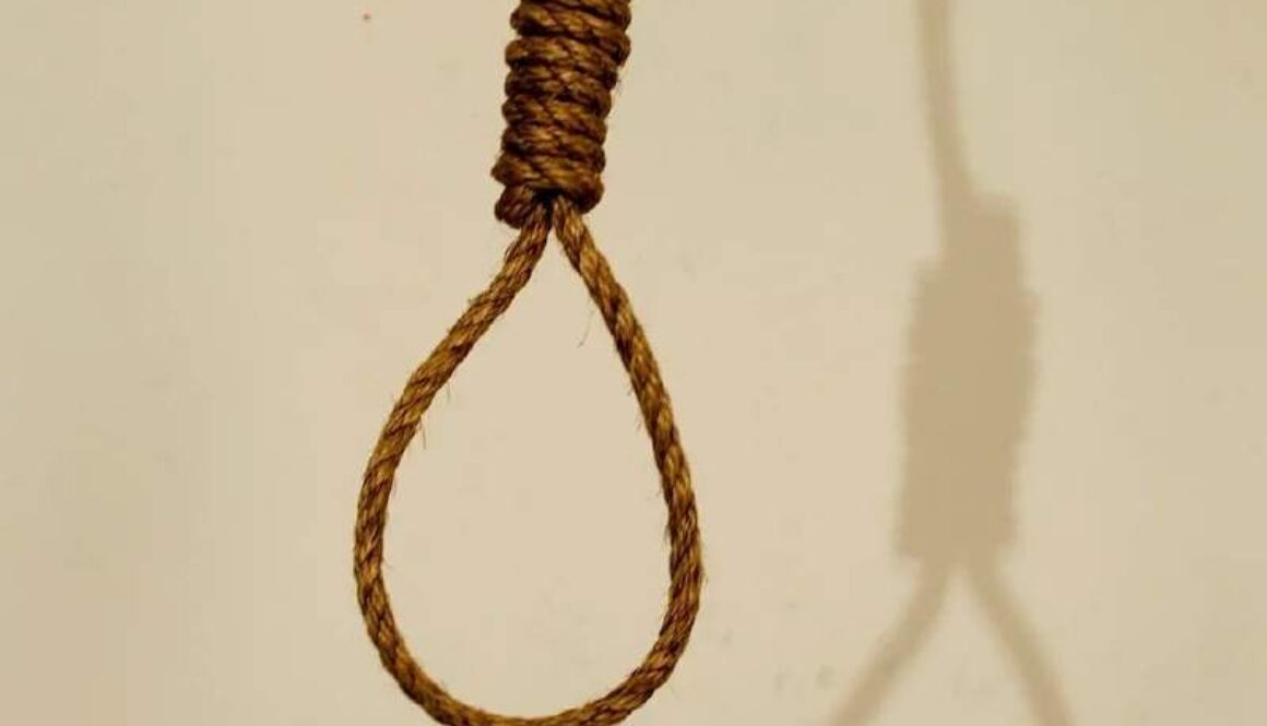 IMG_17122020_124607_(800_x_500_pixel)