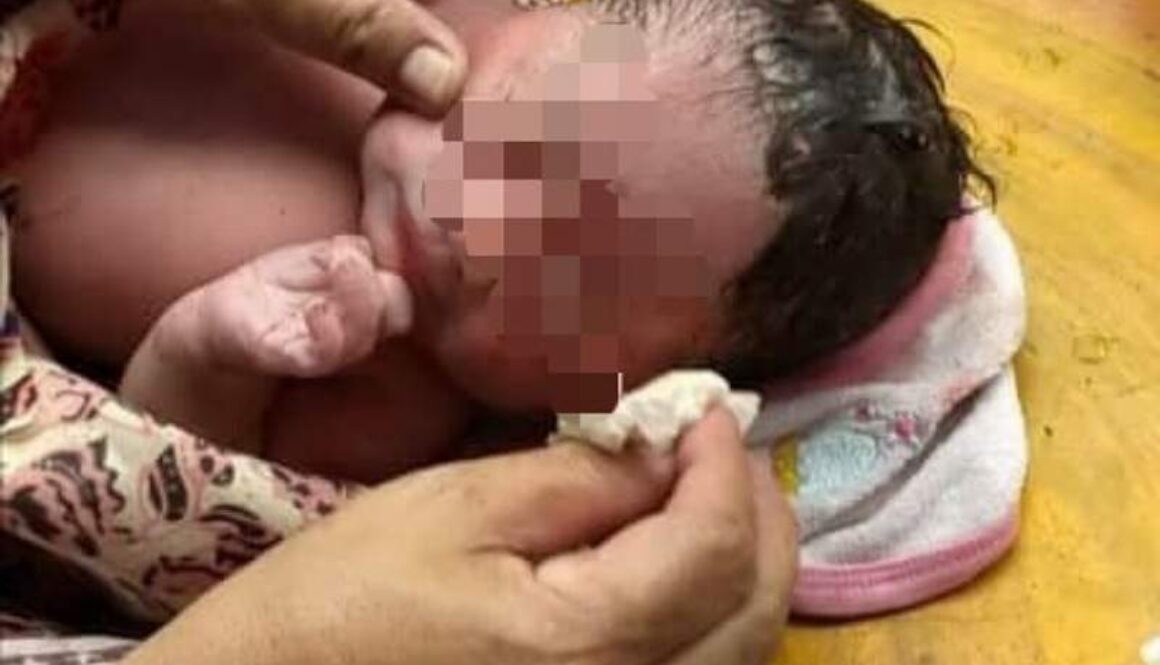 IMG_18122020_025226_(800_x_500_pixel)