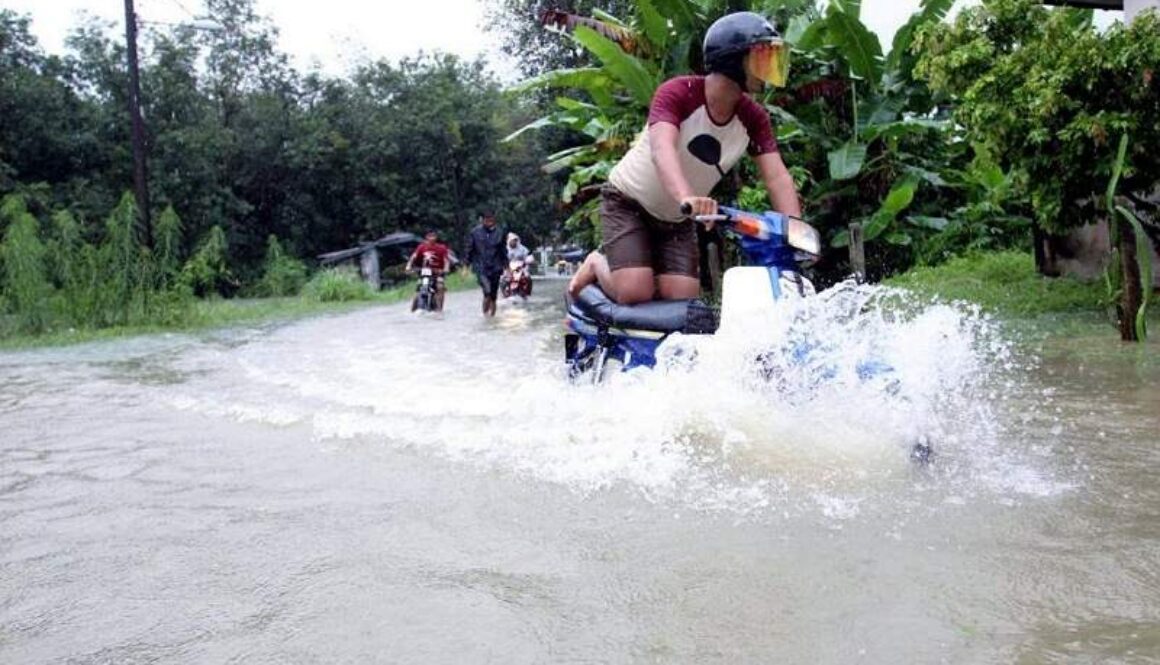 IMG_18122020_151317_(800_x_500_pixel)