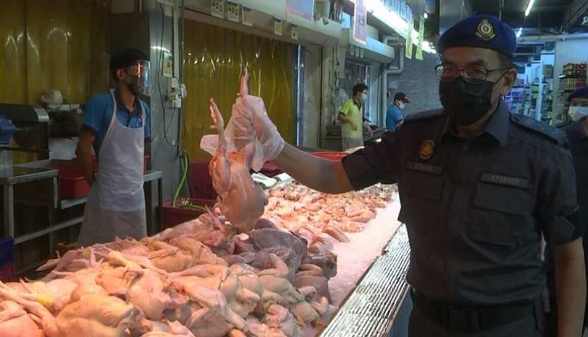 IMG_19092021_154637_(800_x_500_pixel)