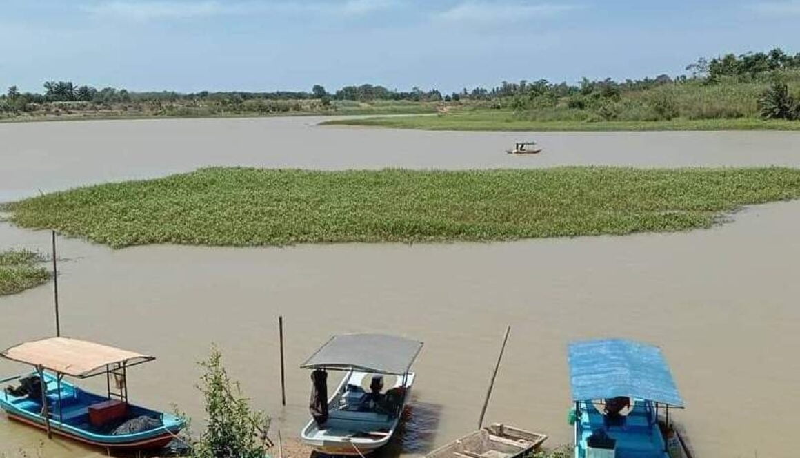 IMG_20022021_232747_(800_x_500_pixel)