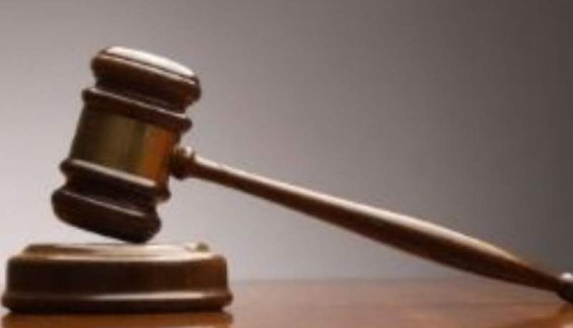 IMG_20112020_141553_(800_x_500_pixel)