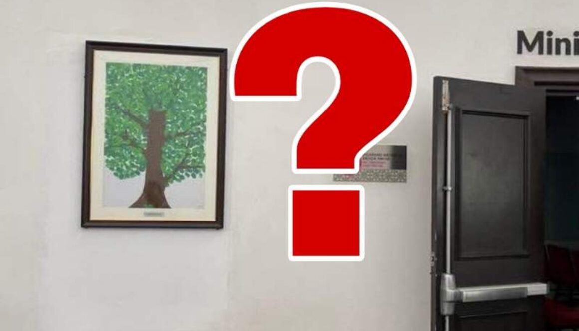 IMG_20250609_011247_(800_x_500_pixel)