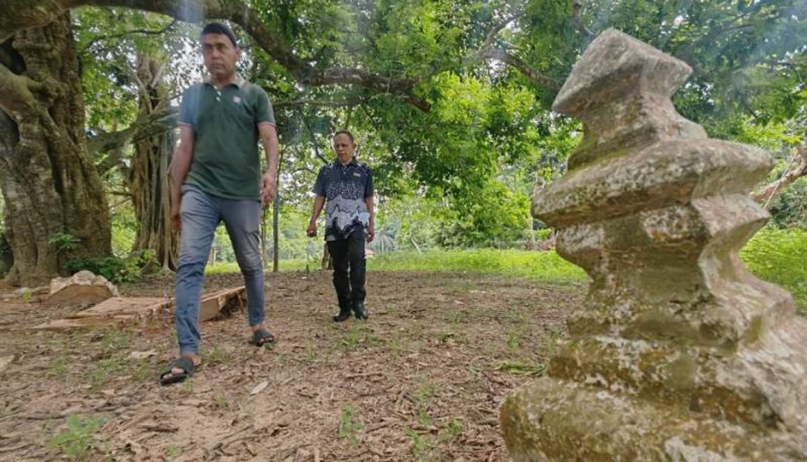 IMG_20250623_210449_(800_x_500_pixel)