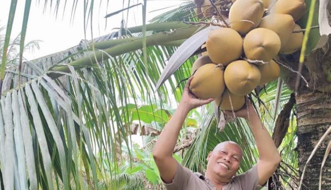 IMG_20250729_112623_(800_x_500_pixel)