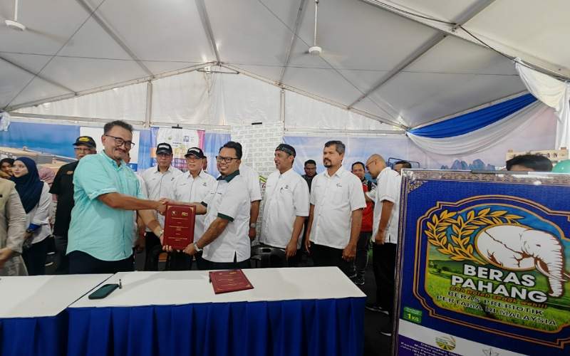 BERAS PAHANG TARIK PERHATIAN DI MINI MAHA - SAHIH