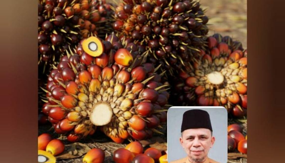 IMG_20251011_192812_(800_x_500_pixel)