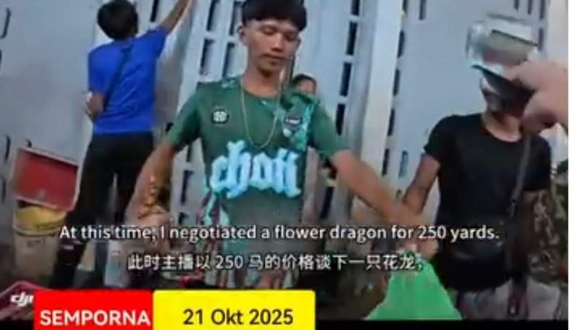 IMG_20251021_184644_(800_x_500_pixel)