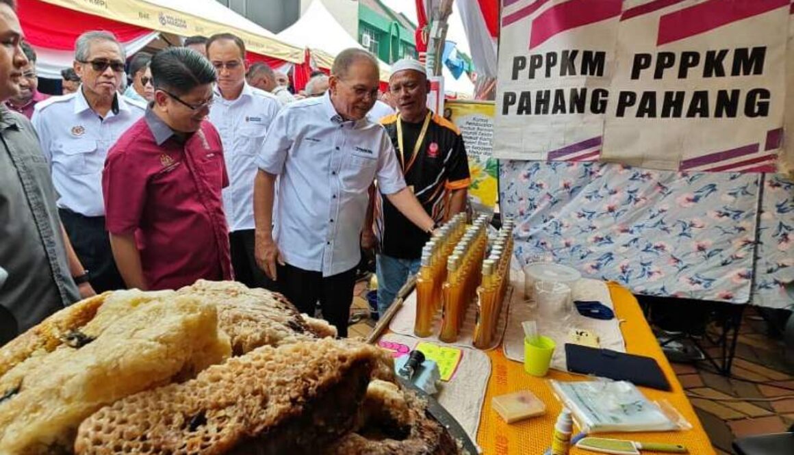 IMG_20251102_120542_(800_x_500_pixel)