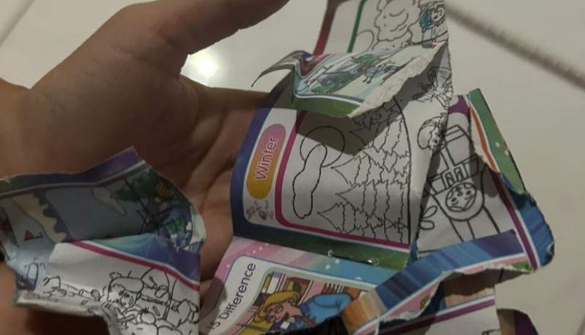 IMG_20251113_095327_(800_x_500_pixel)