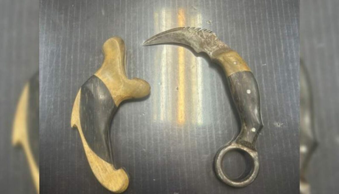 IMG_20251123_152538_(800_x_500_pixel)