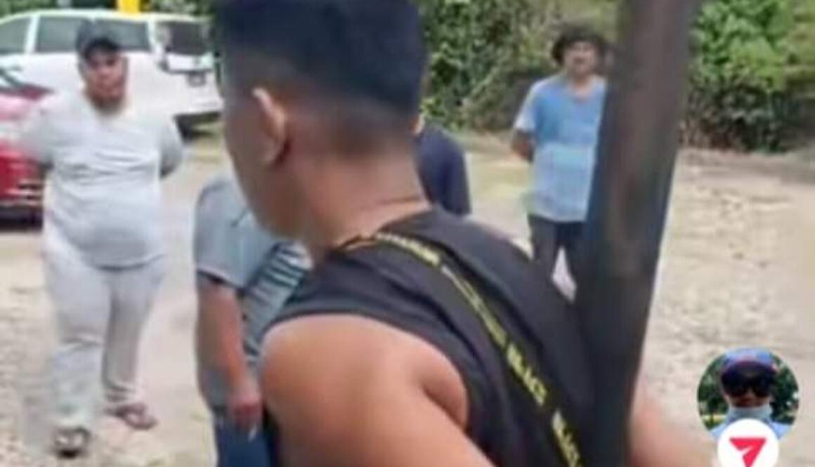 IMG_20251209_114700_(800_x_500_pixel)