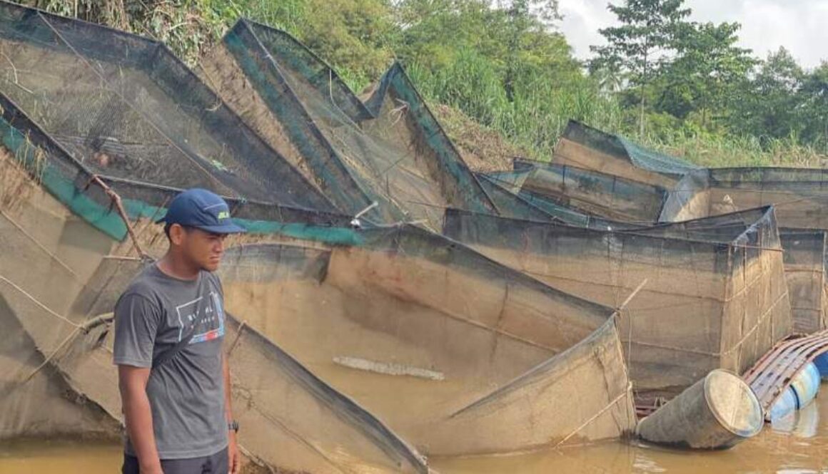 IMG_20251213_013741_(800_x_500_pixel)