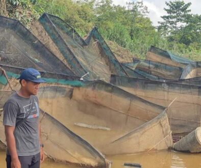 IMG_20251213_013741_(800_x_500_pixel)