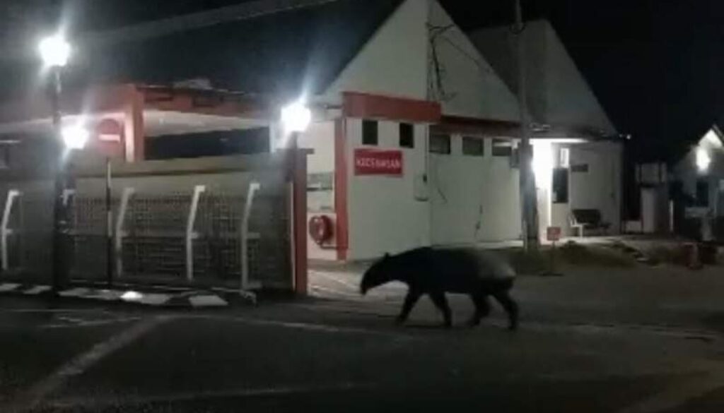 IMG_20260114_131331_(800_x_500_pixel)