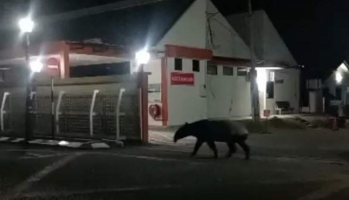 IMG_20260114_131331_(800_x_500_pixel)