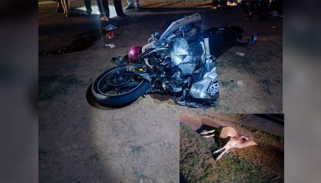 IMG_20260123_135002_(800_x_500_pixel)