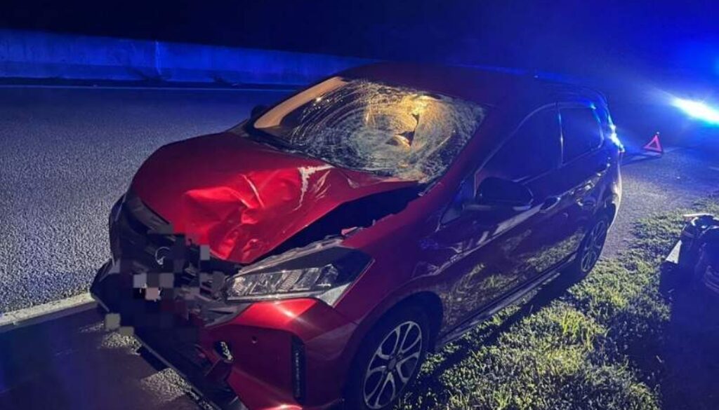 IMG_20260203_002125_(800_x_500_pixel)