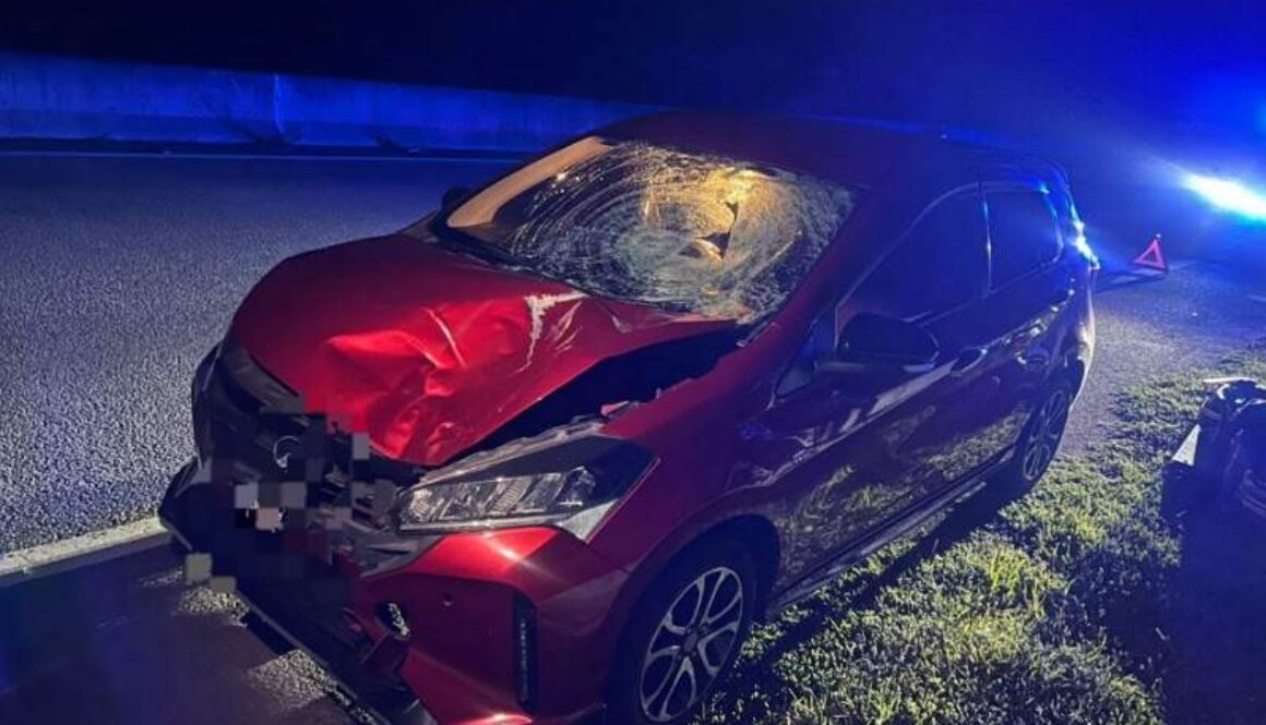 IMG_20260203_002125_(800_x_500_pixel)