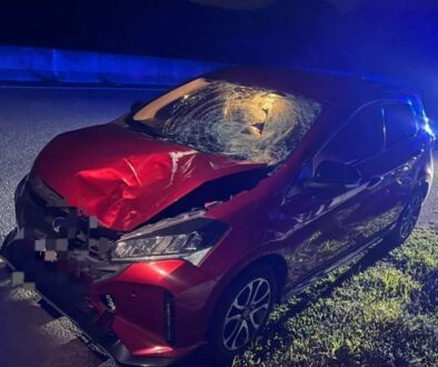 IMG_20260203_002125_(800_x_500_pixel)