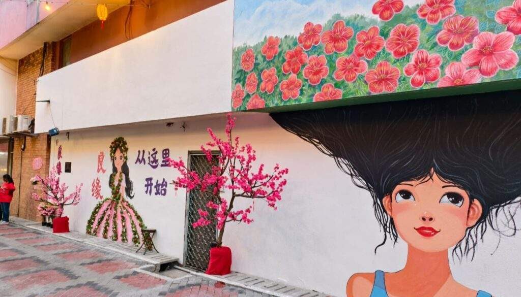 IMG_20260216_201001_(6_x_4_inch)