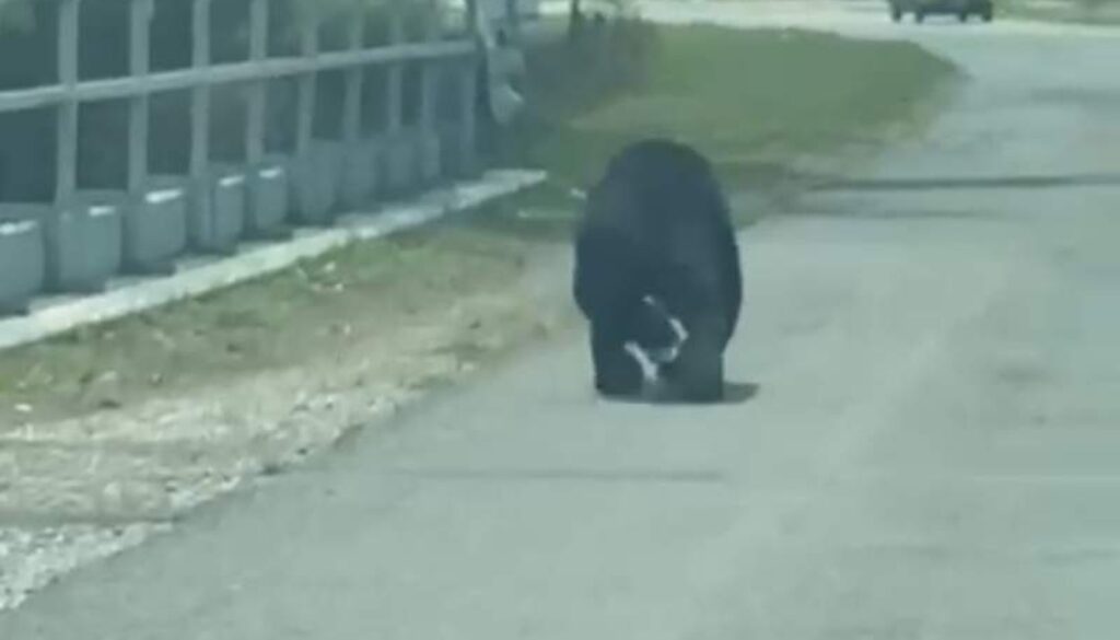 IMG_20260416_174516_(800_x_500_pixel)