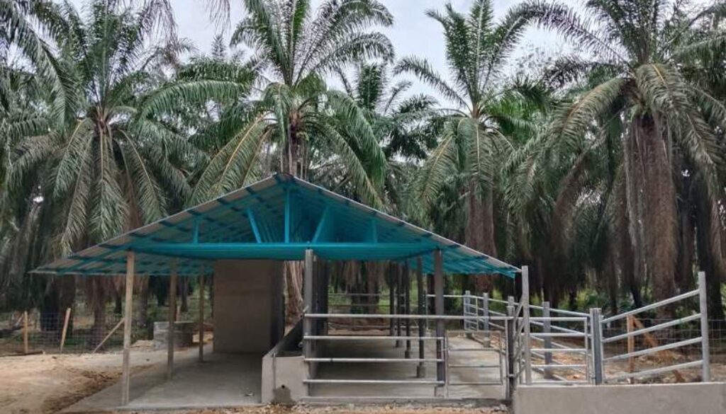 IMG_20260417_115100_(800_x_500_pixel)