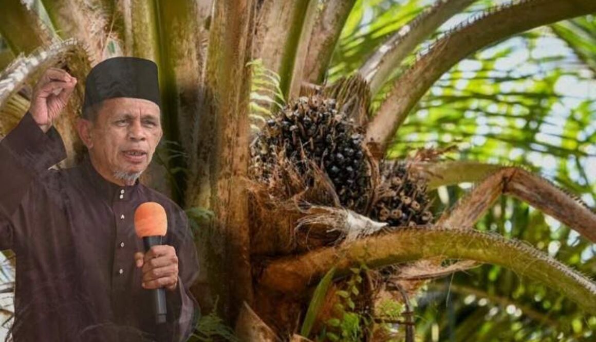 IMG_20260423_073304_(800_x_500_pixel)