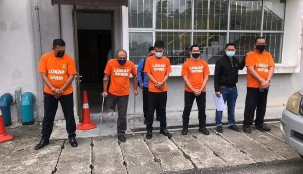 IMG_21022021_173047_(800_x_500_pixel)